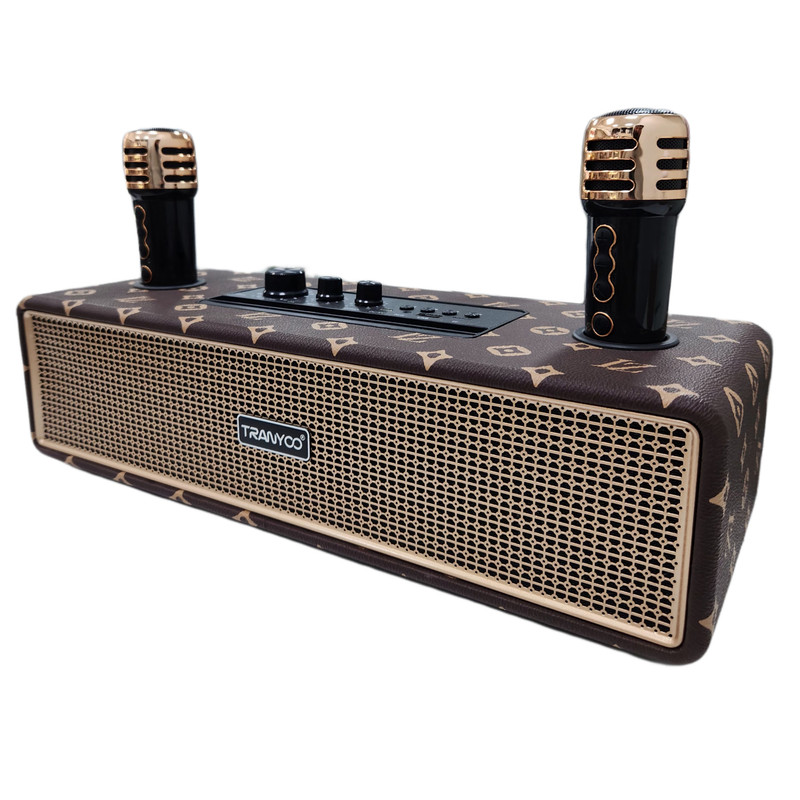 اسپیکر بلوتوثی قابل حمل ترانیو مدل T-BM22 به همراه میکروفون